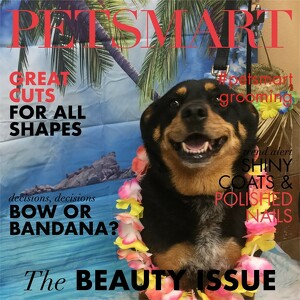 Fundraising Page: Cathy Sanford